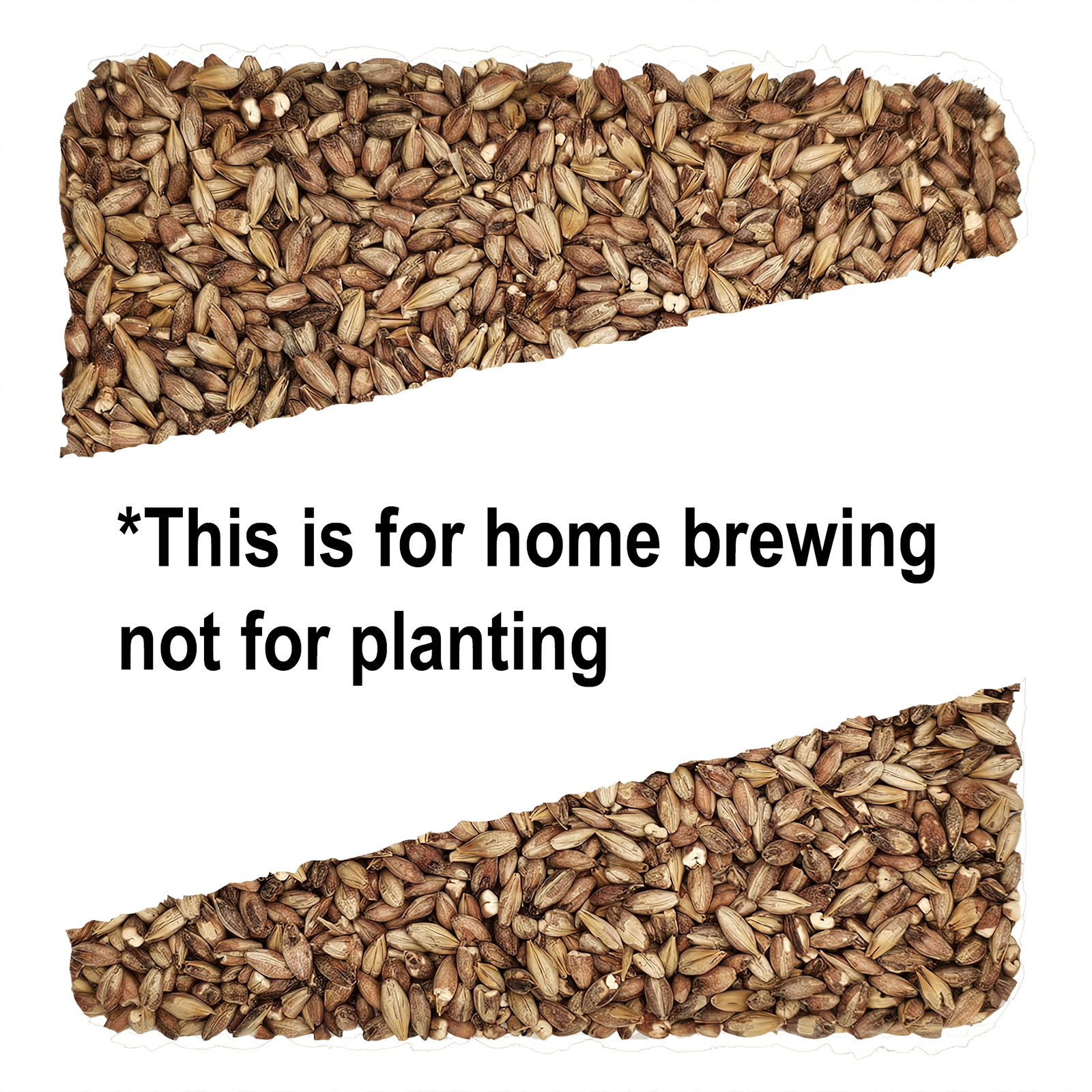 Home Brew Ohio Special Roast Grain 1lb