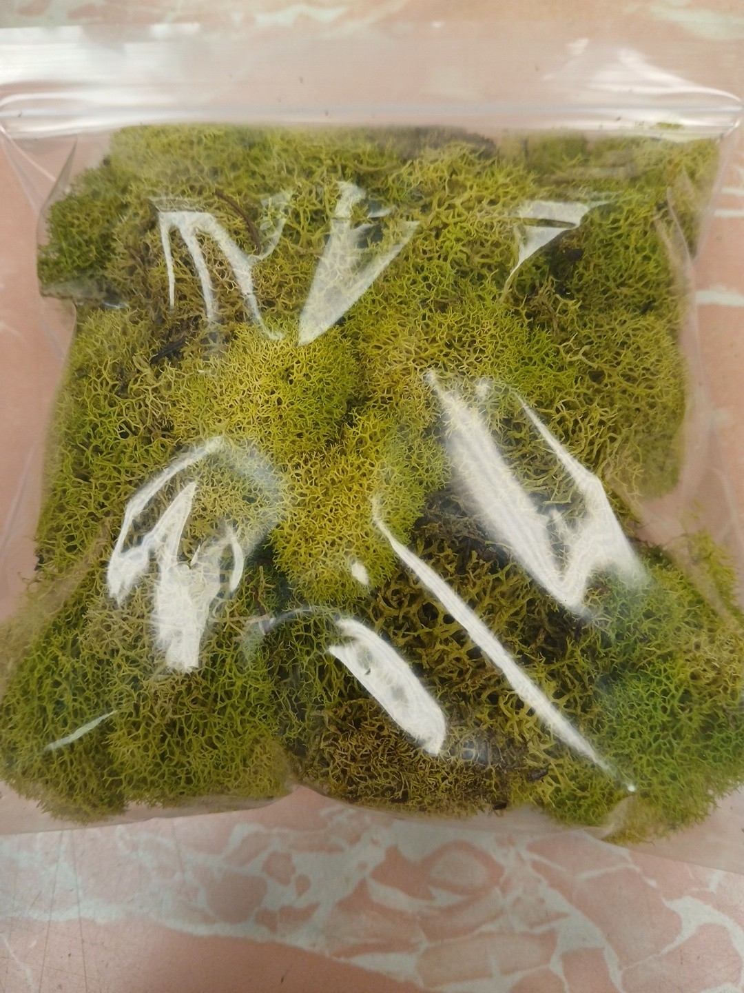 1 Bag Lichen Deer Moss Lifelike Little Landscapes Wargaming Terrain Scenery NEW