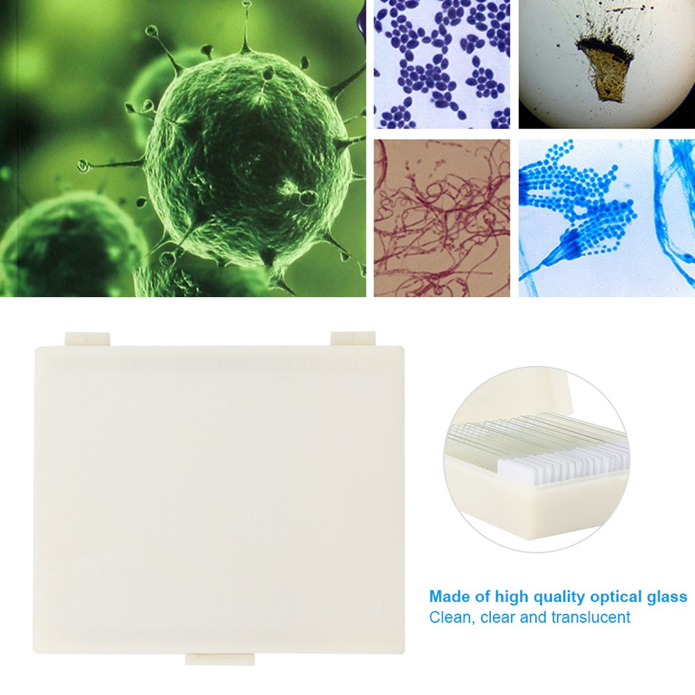 20pcs Microbiological Bacterial Specimens Biology Microscope Slices Lab Specimen