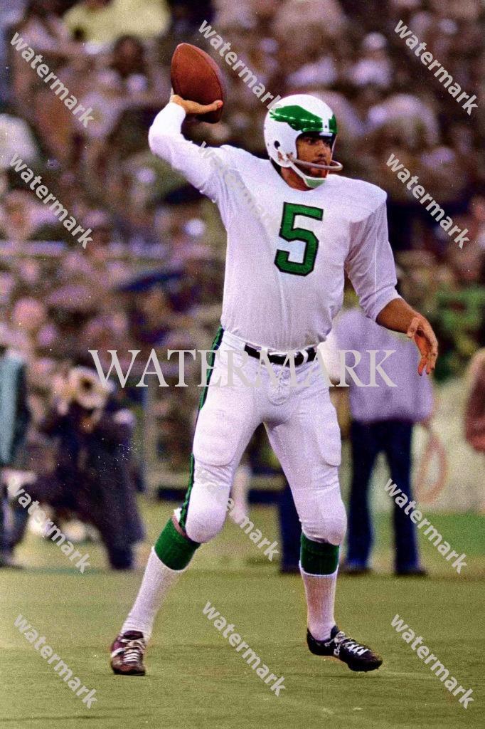 GQ806 Roman Gabriel - Philadelphia Eagles 8x10 16x20 Colorized Photo