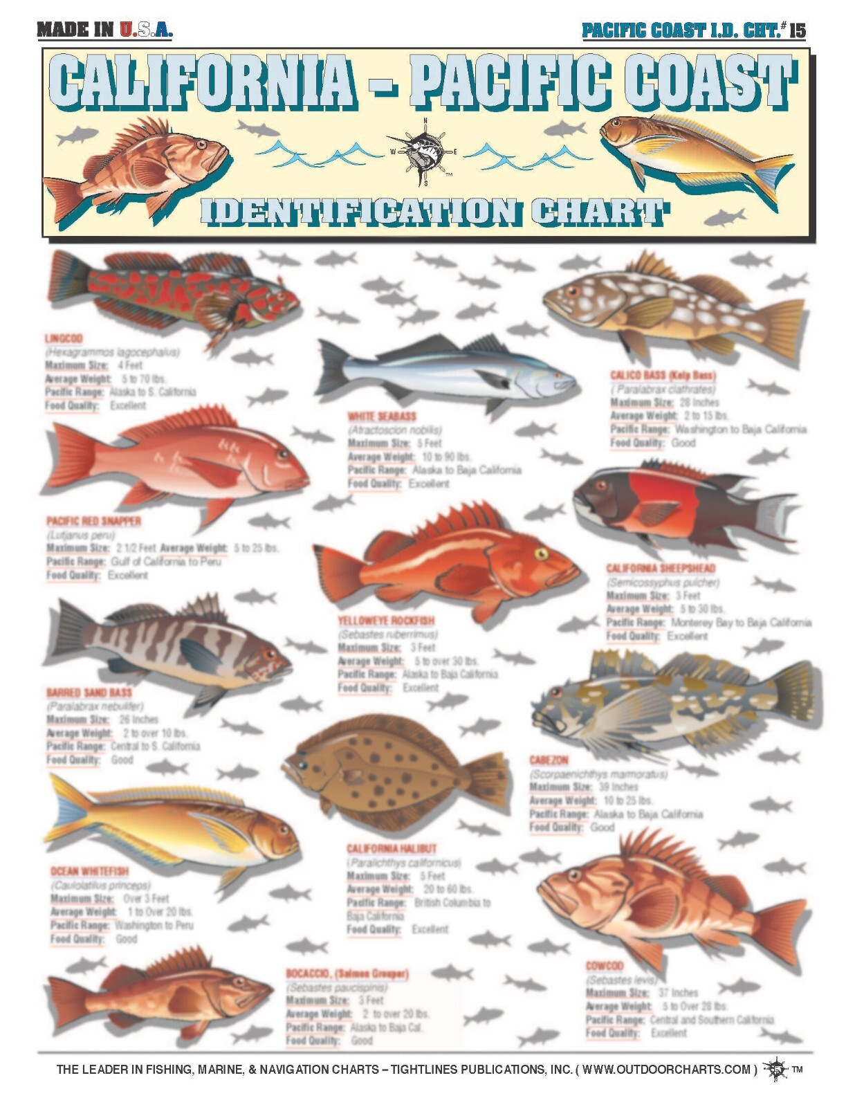 Pacific Coast Fish Identification #15 - Waterproof Quick Reference