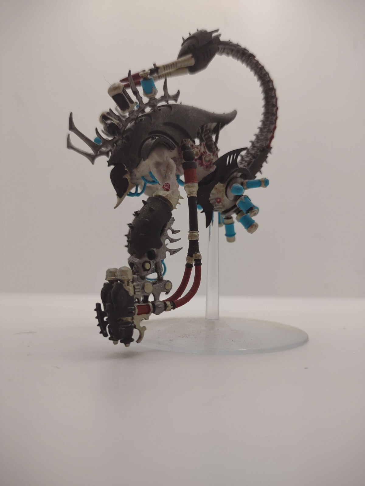 Drukhari Taloswarhammer 40k
