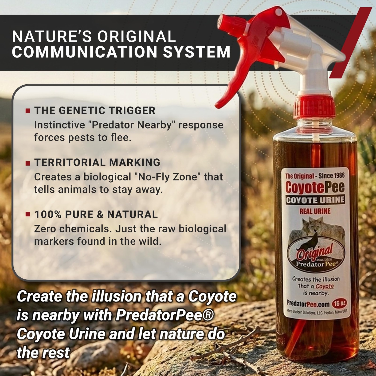 PredatorPee 100% Coyote Urine Kit Territorial Marking Scent Kit Creates Predator