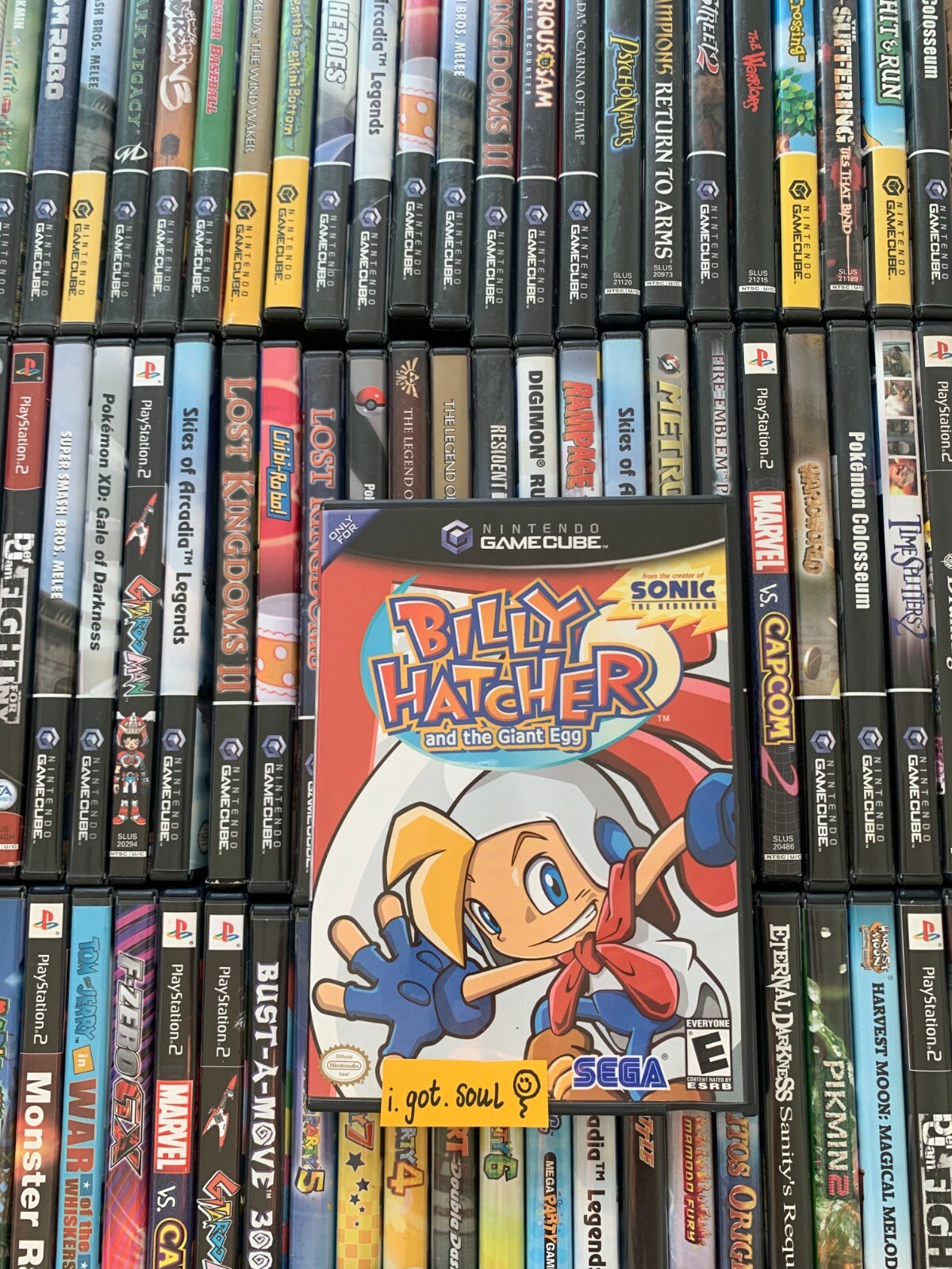 Billy Hatcher Giant Egg Original Black Case +Artwork ONLY Gamecube OEM - NO GAME