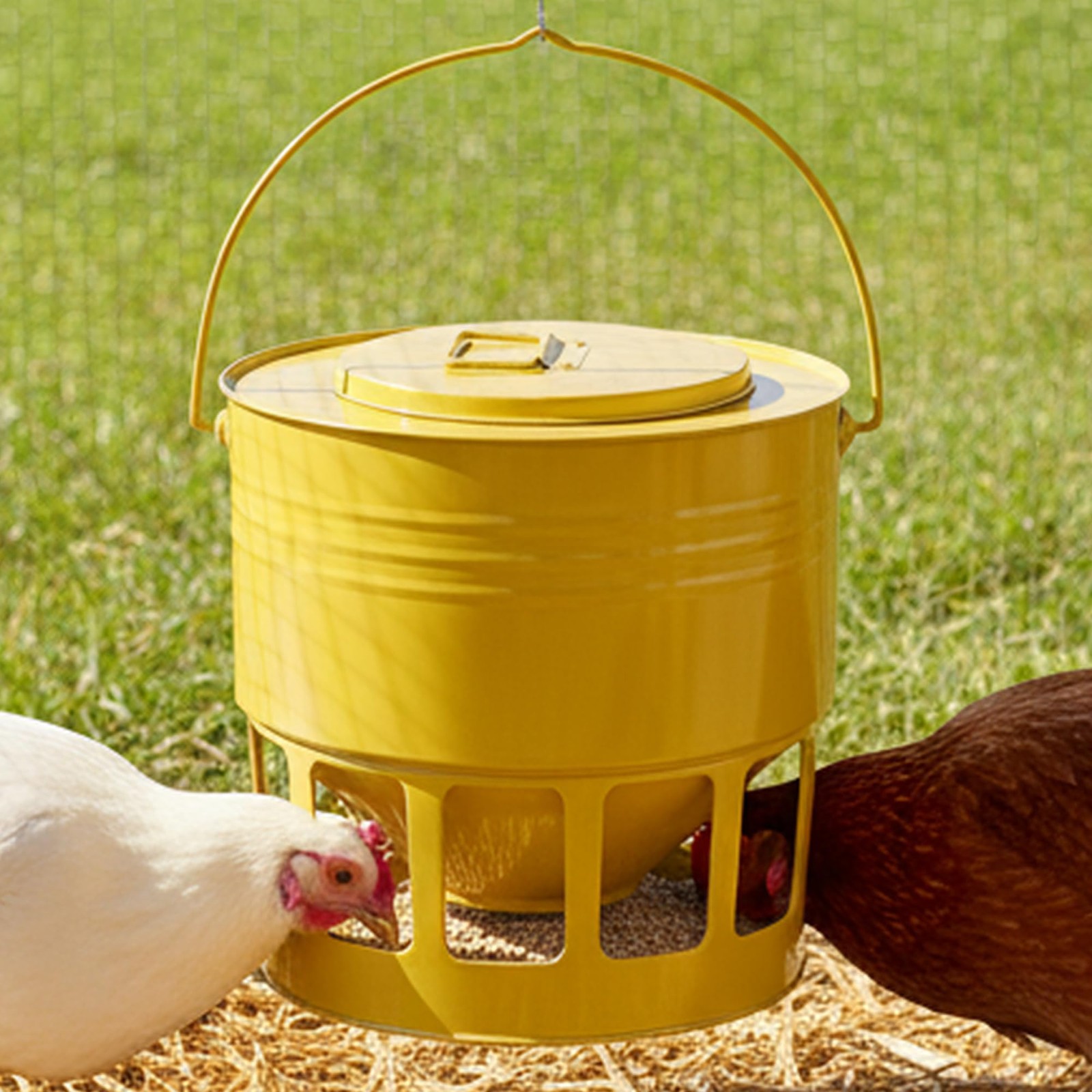 Hanging Chicken Feeder – 20lbs Metal Chicken Feeder No Waste, Adjustable Poultry