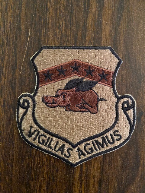 USAF / US Air Force 188th FIGHTER WING (DESERT COLORS) -  VERY NICE!