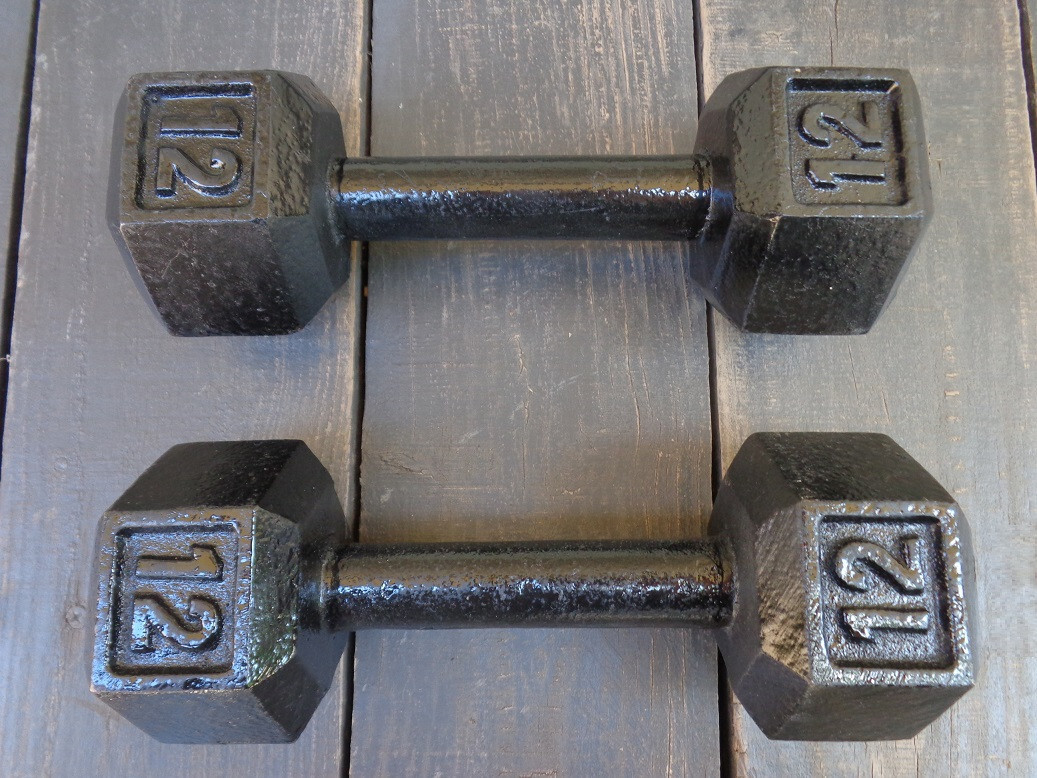 PAIR OF 12 LB. DUMBBELLS - BODYBUILDING - WEIGHT LIFTING - HOME GYM - DUMB BELLS