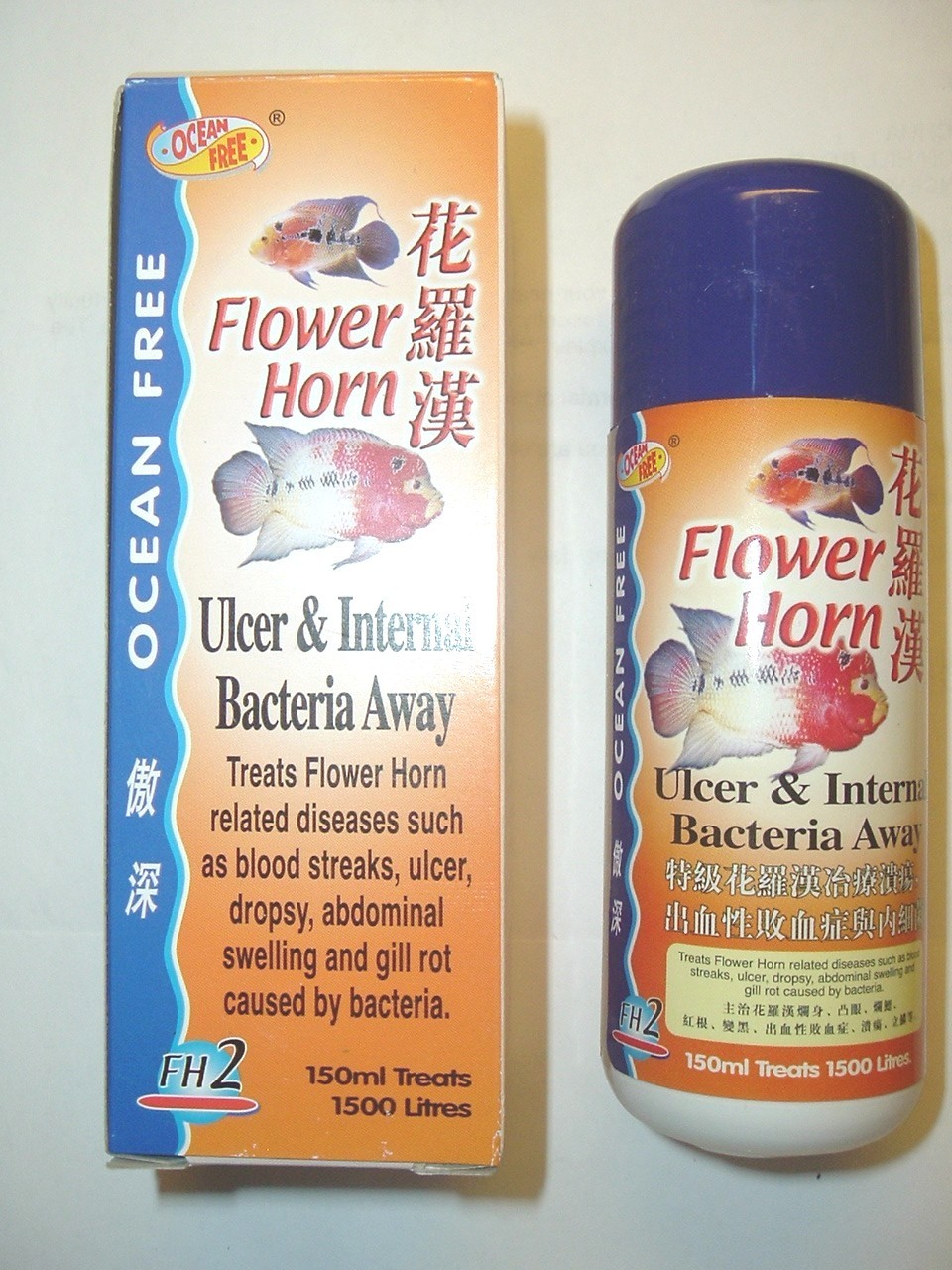OCEAN FREE FLOWERHORN ULCER & INTERNAL BACTERIA AWAY
