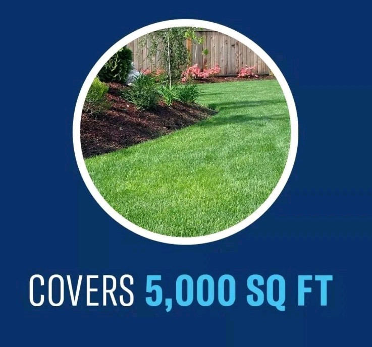BioAdvanced Fungus Control for Lawns Granules Bayer Prevent Brown Patch 10 lb
