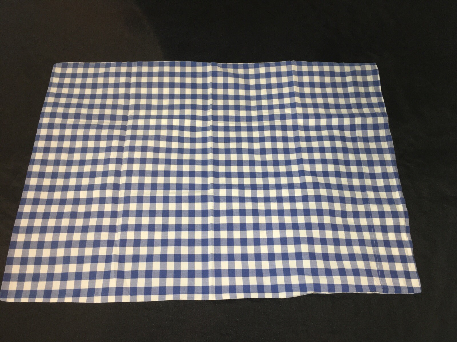 Pottery Barn Kids Check Pillow Case Chambray Blue White Gingham Cottage
