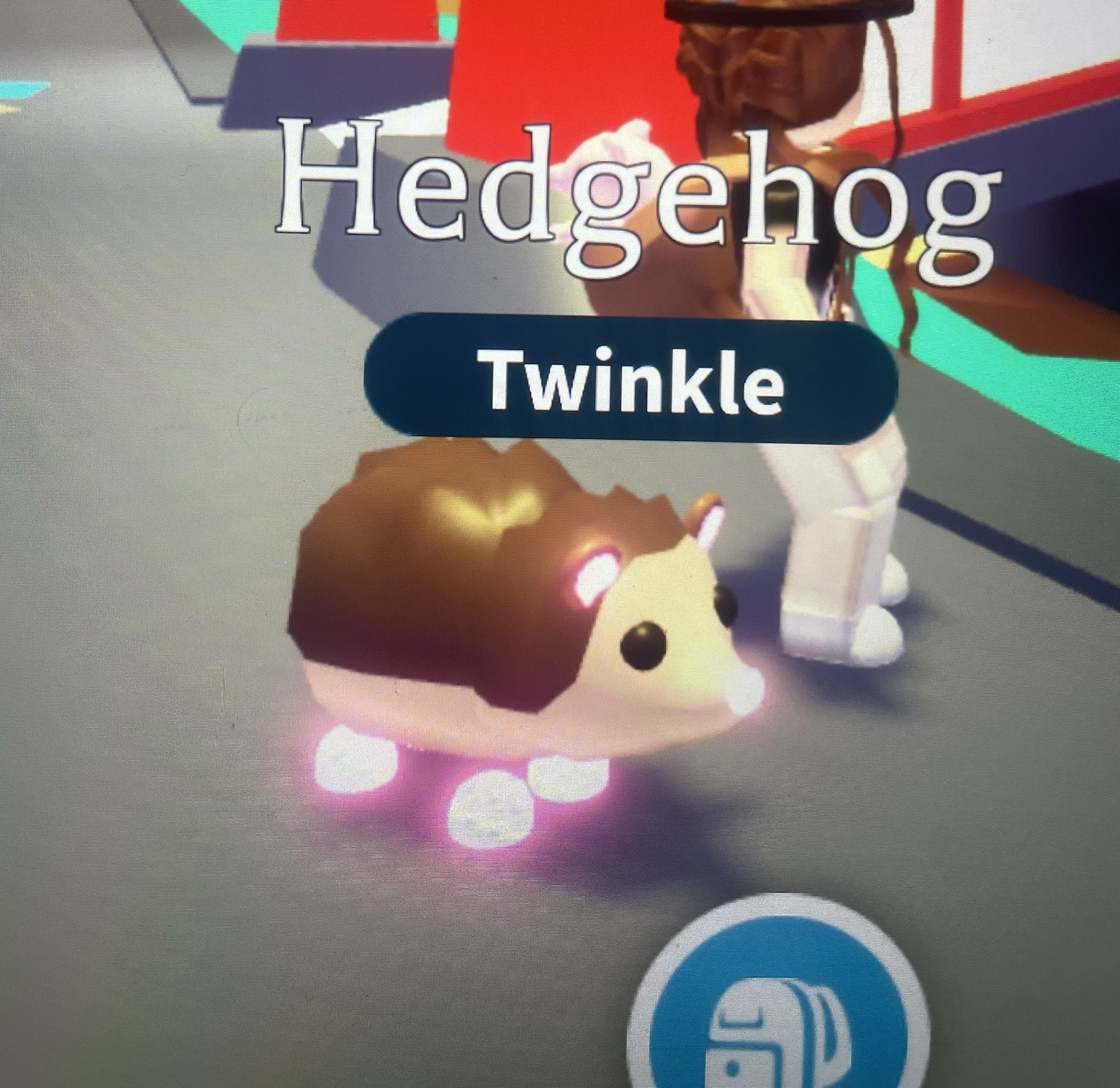 Adopt Neon Hedgehog! - Rideable (Twinkle) Adopt Me