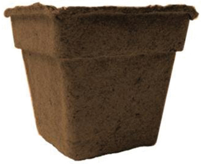 Cow Pots 4-Inch Square - Natural Manure Biodegradable Plant Pots - Case of 180