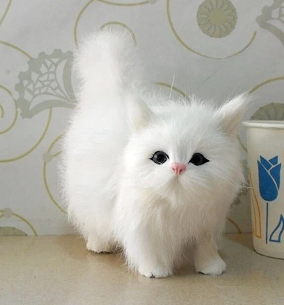 Kitten Cat 5 Inch Stuffed Animal Plush Toys Toddler Doll Kids Gifts