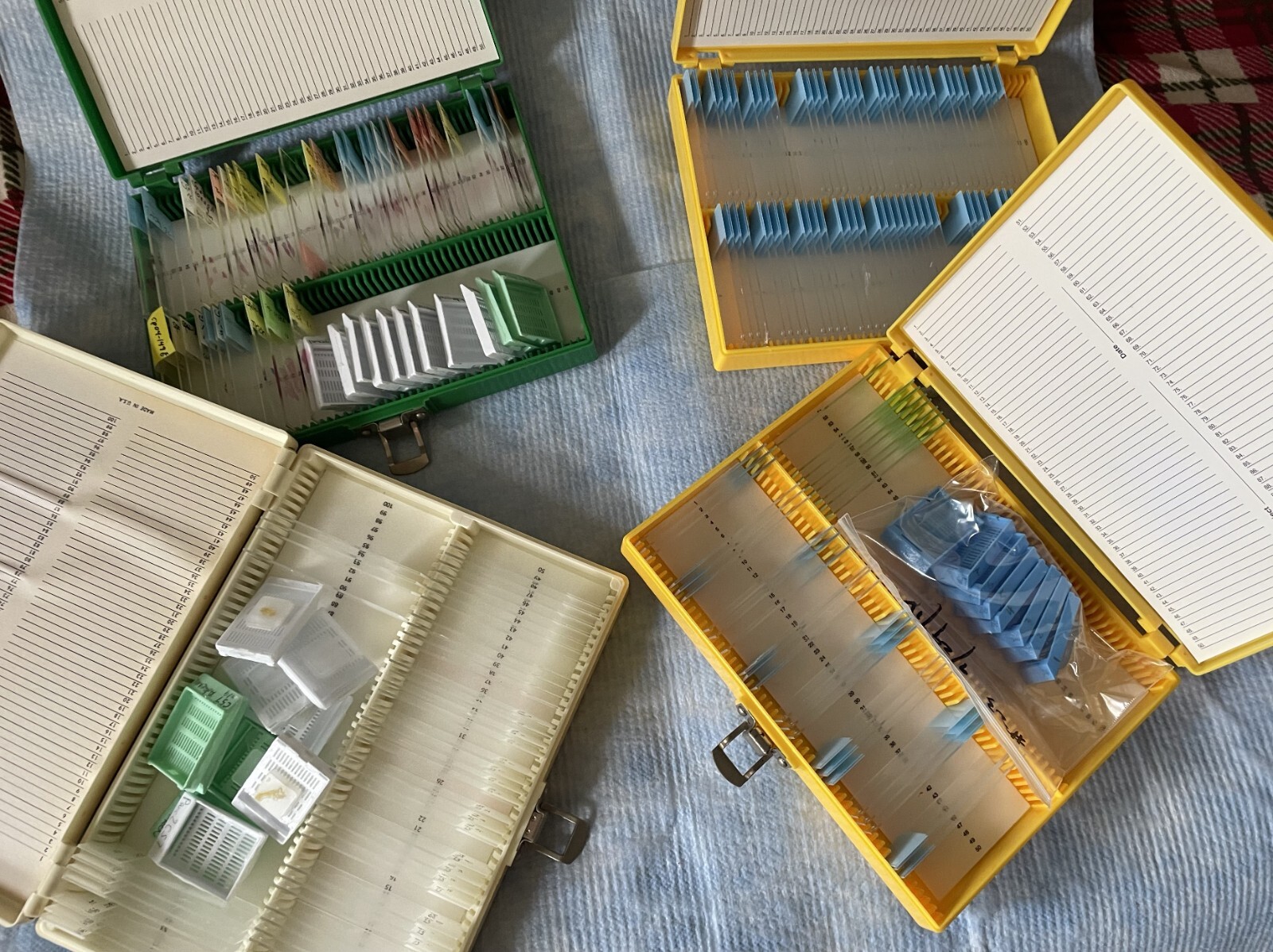 Four Microscope storage boxes with mouse tissues slides, 14,15,16,17