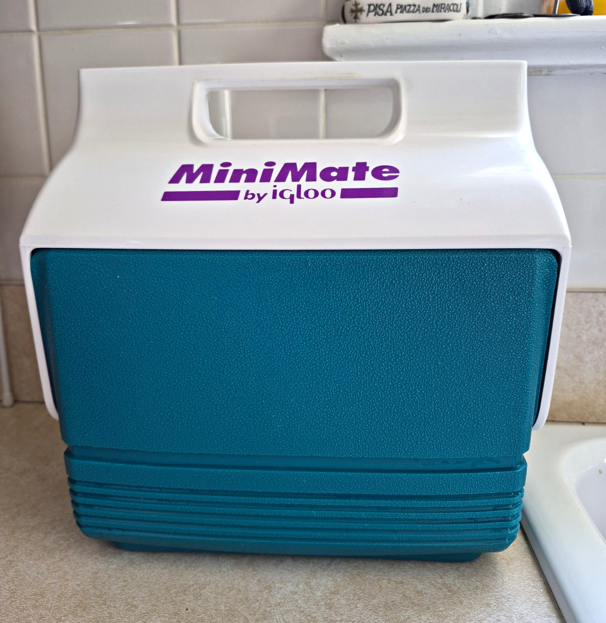 Igloo MiniMate 6 qt Ice Chest Cooler White/Blue Plastic Carry Handle Retro