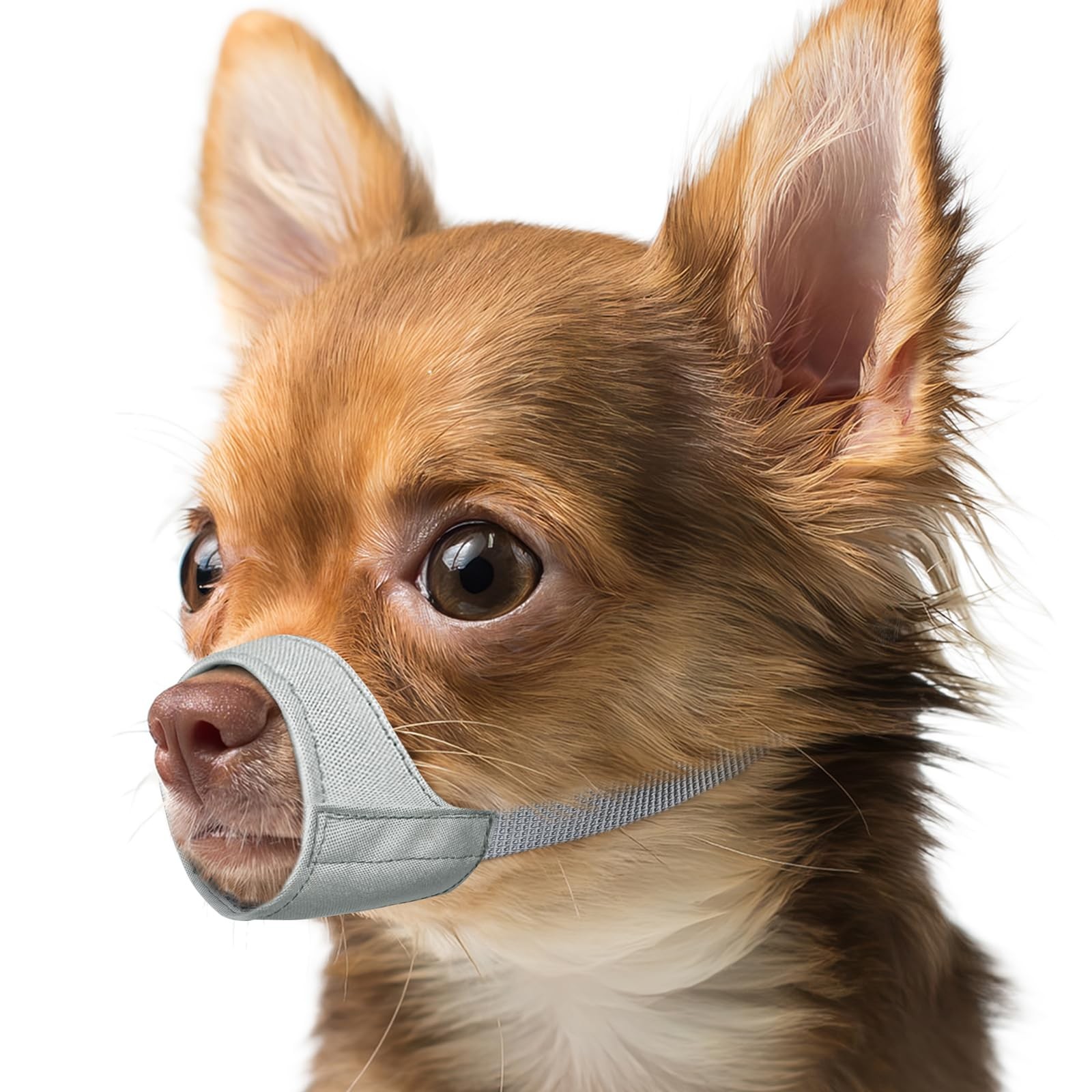 Mayerzon Fabric Dog Muzzle for Short Snout Small XXS [Snout Cir: 4-5"], Grey