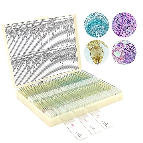 LAKWAR 120-Pc Prepared Microscope Slides Plants Insects Animal Tissue 1x3-In