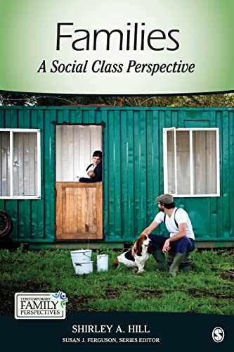 Families: A Social Class Perspective - Paperback, by Hill Shirley A. - Very Good