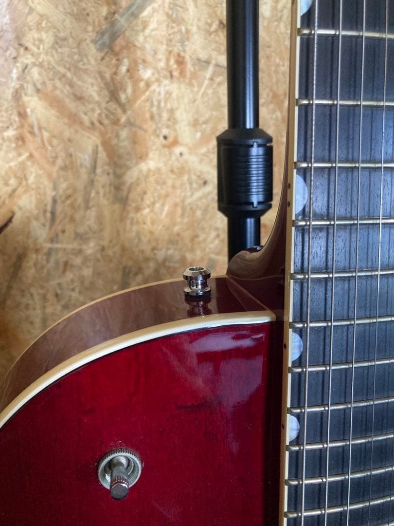 Gretsch Tennessee Rose 6119