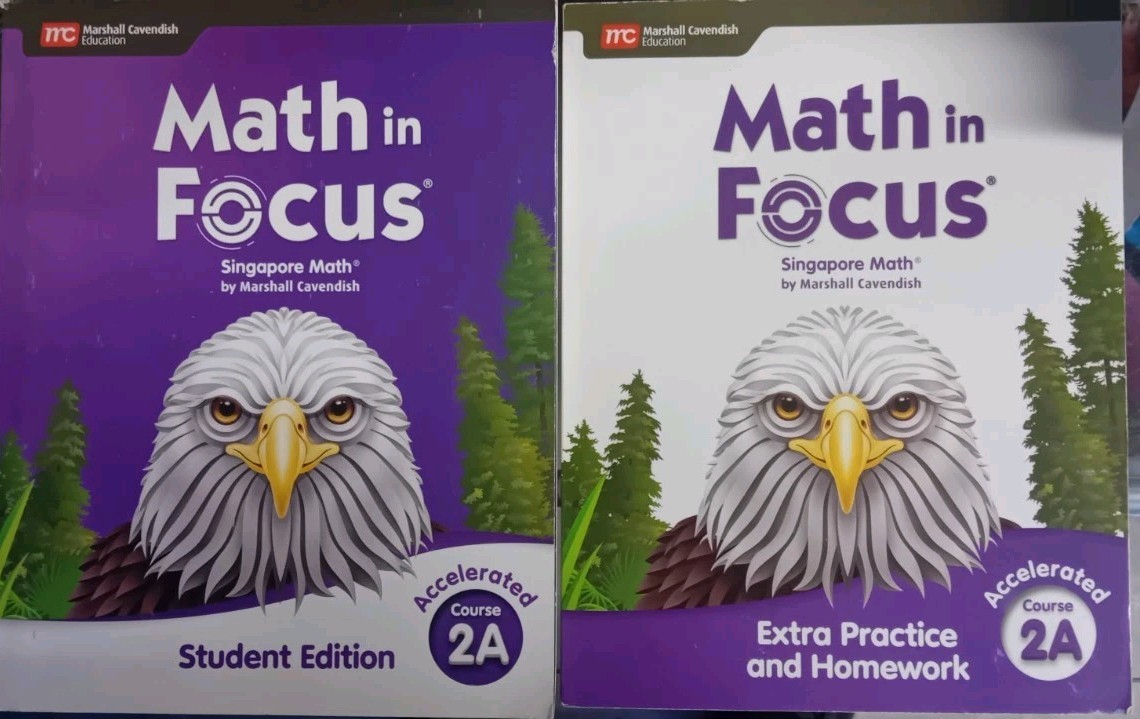 Lot Math in Focus Accelerated Course 2A Student + Extra Practice &Homework 2020
