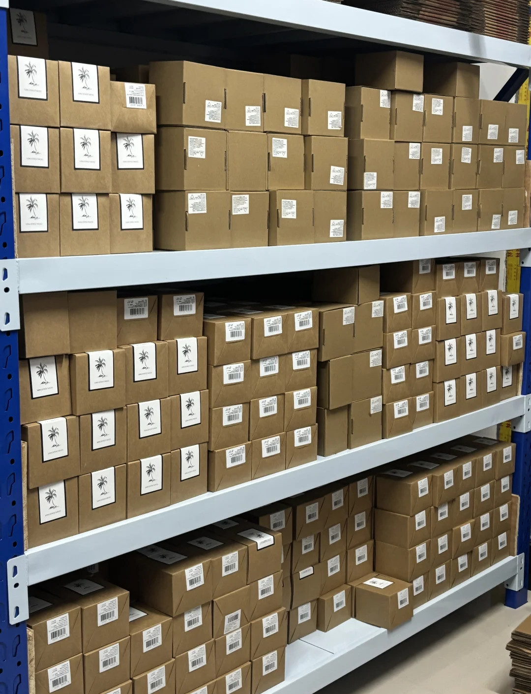XS1M12KP340D 1PCS NEW 12-24V MODEL sensor INDUCTIVE PROXIMITY SWITCH fast ship