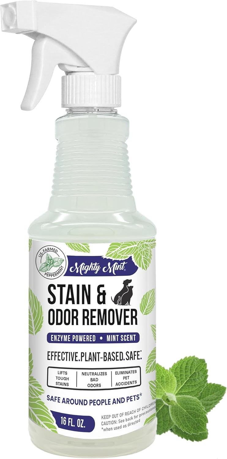 Stain & Odor Remover, Natural Enzyme Spray Safely Neutralizes