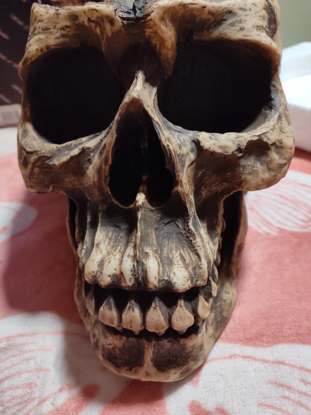 WORLD OF WONDER LARGE SKULL PLANTER