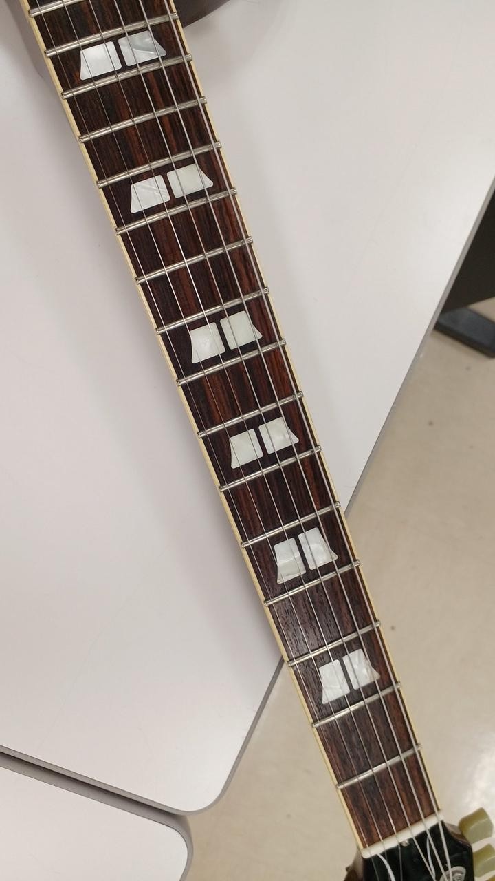 HISTORY ZLS-100 Les Paul type
