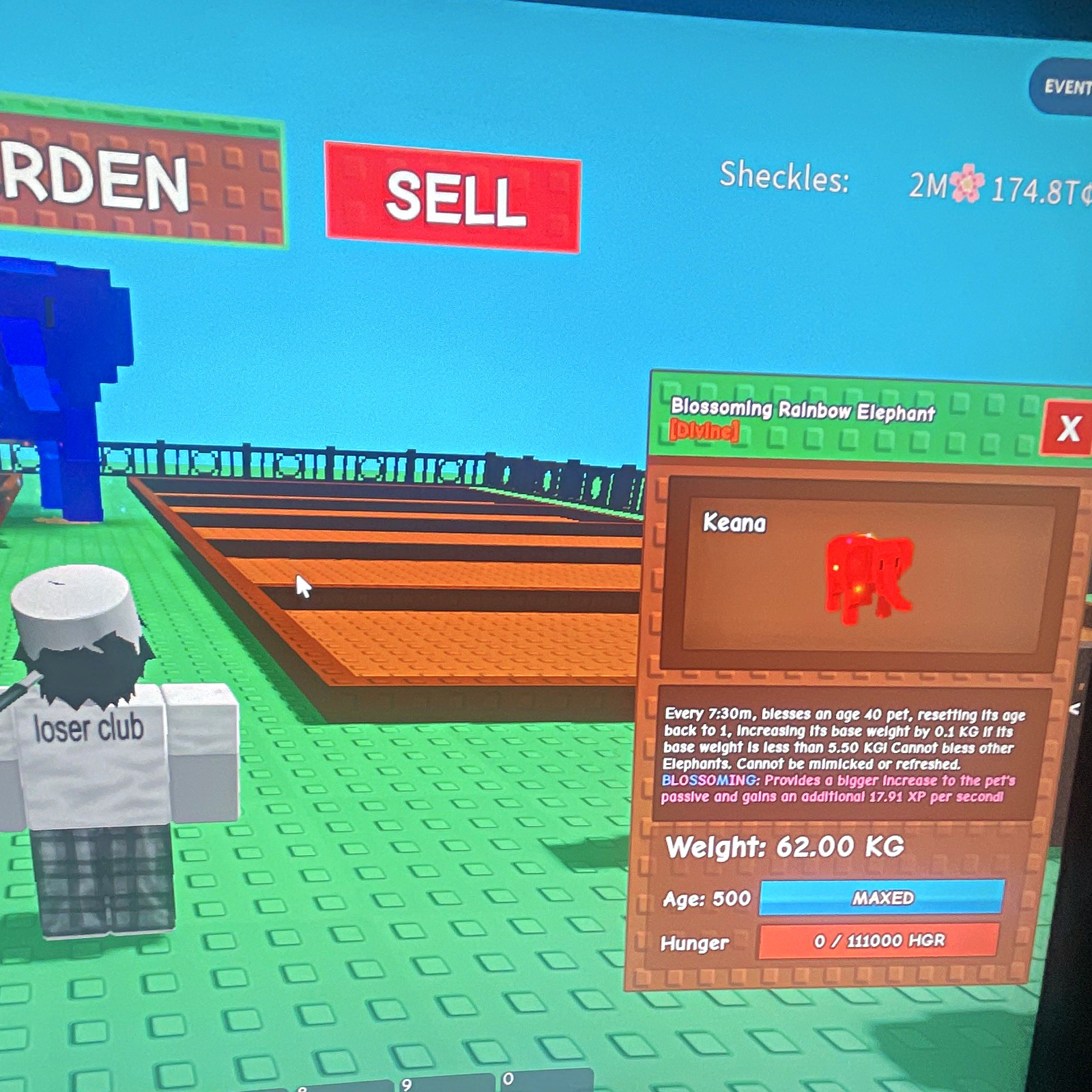 ROBLOX RAINBOW HATCHED ELEPHANT