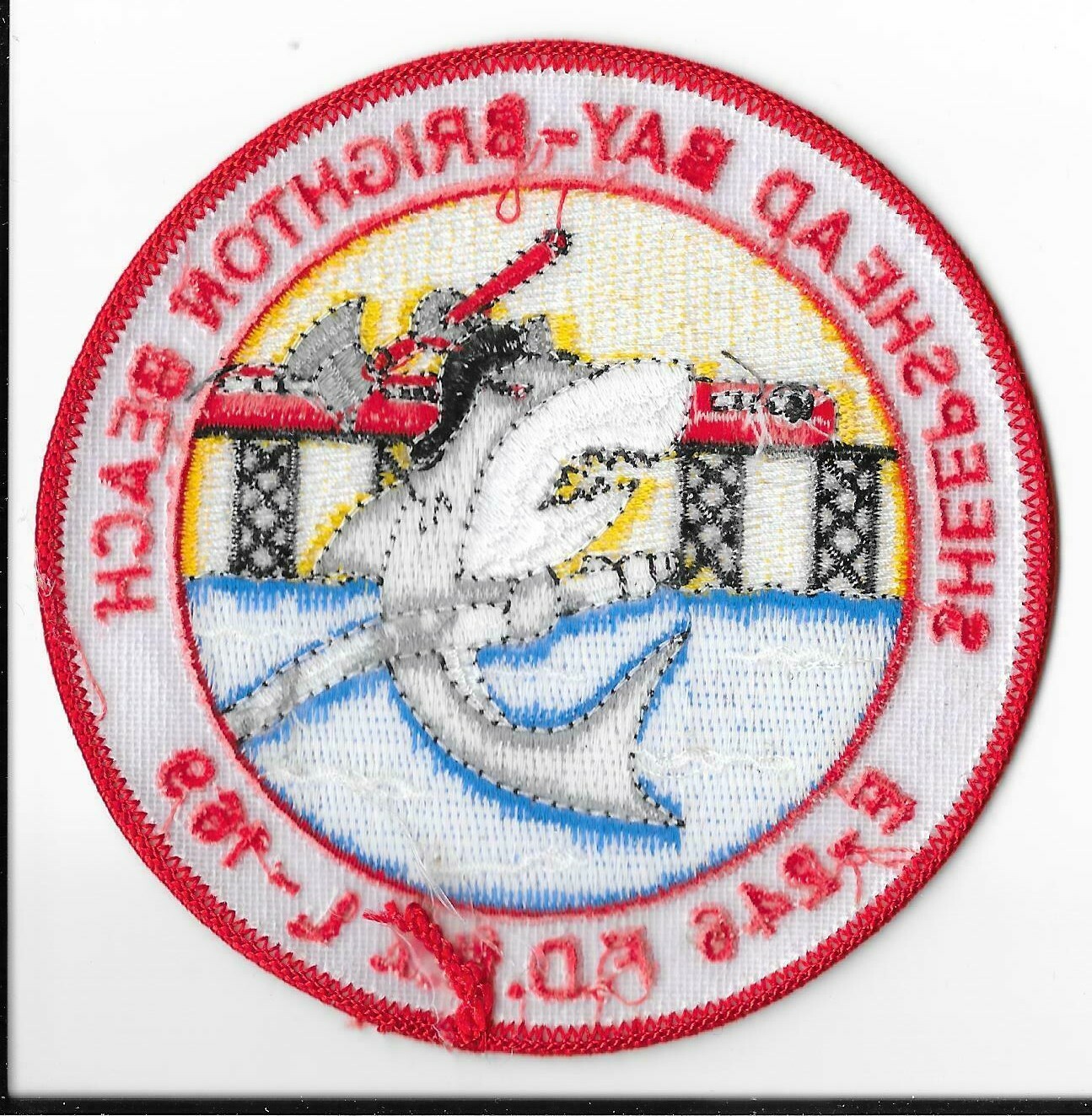 New York Fire Department (FDNY) Engine 246/Ladder 169 Patch V4
