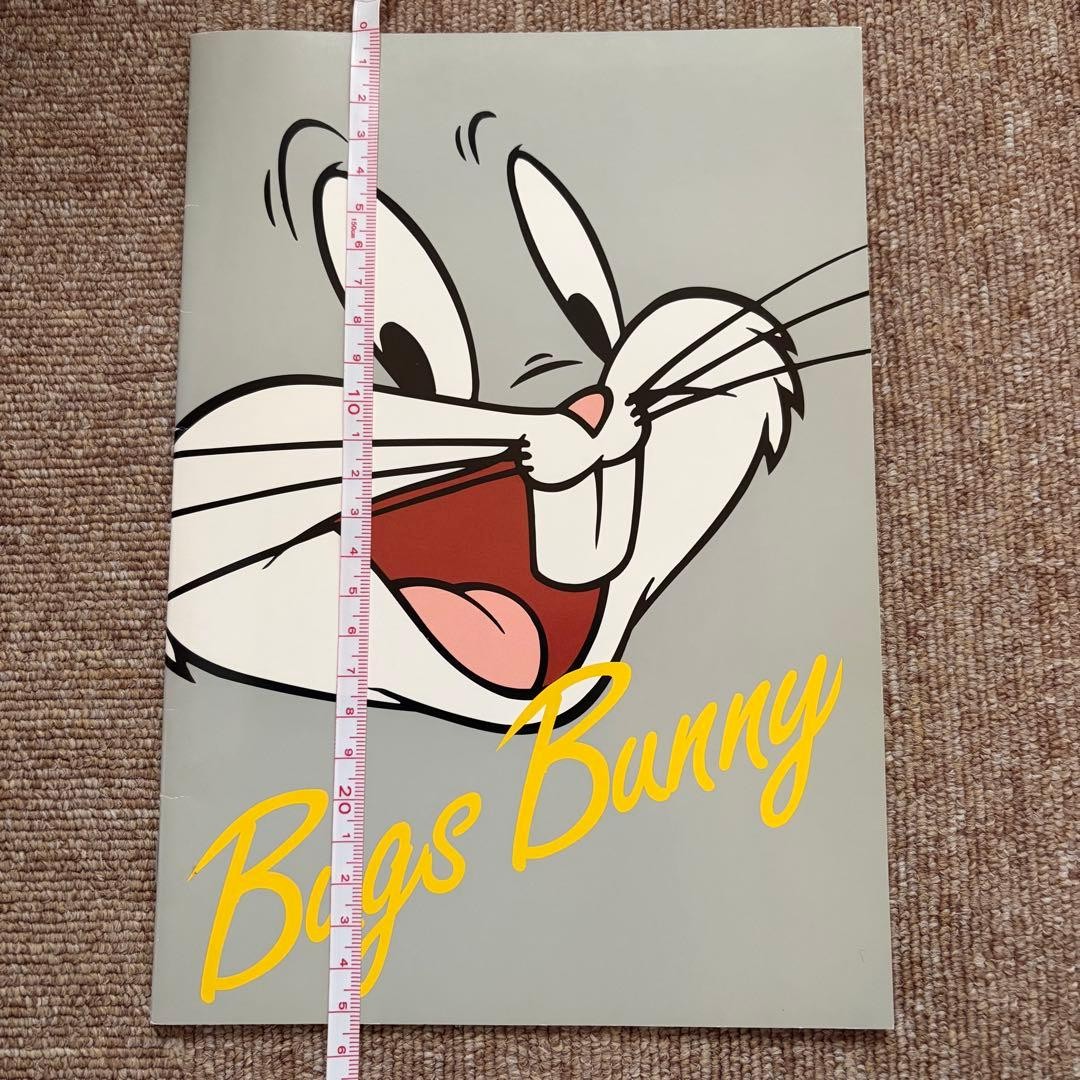 Bugs Bunny Notebook used