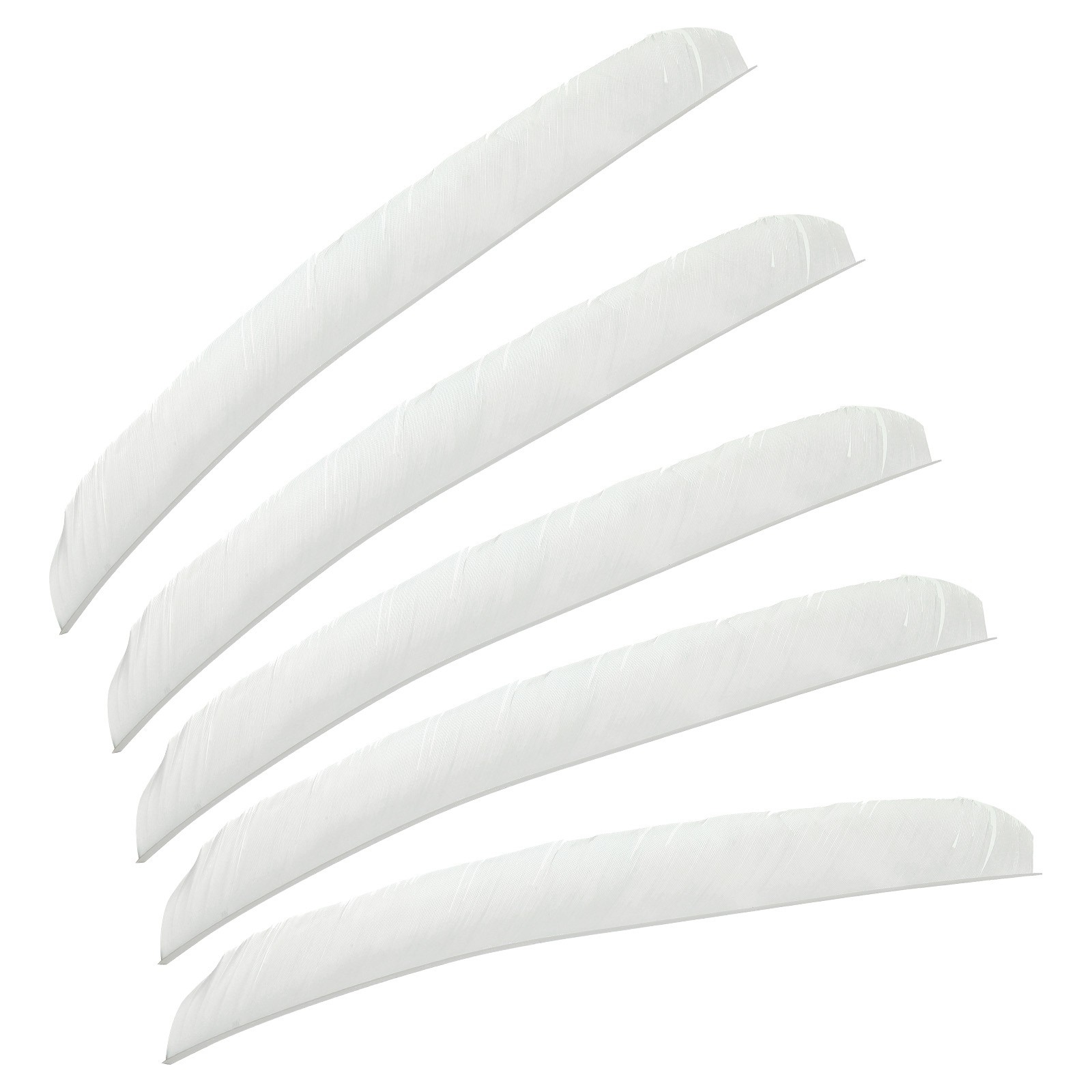 50pcs Arrows Vanes 11 Inch Turkey Feather Arrow Fletching Right Wing, White