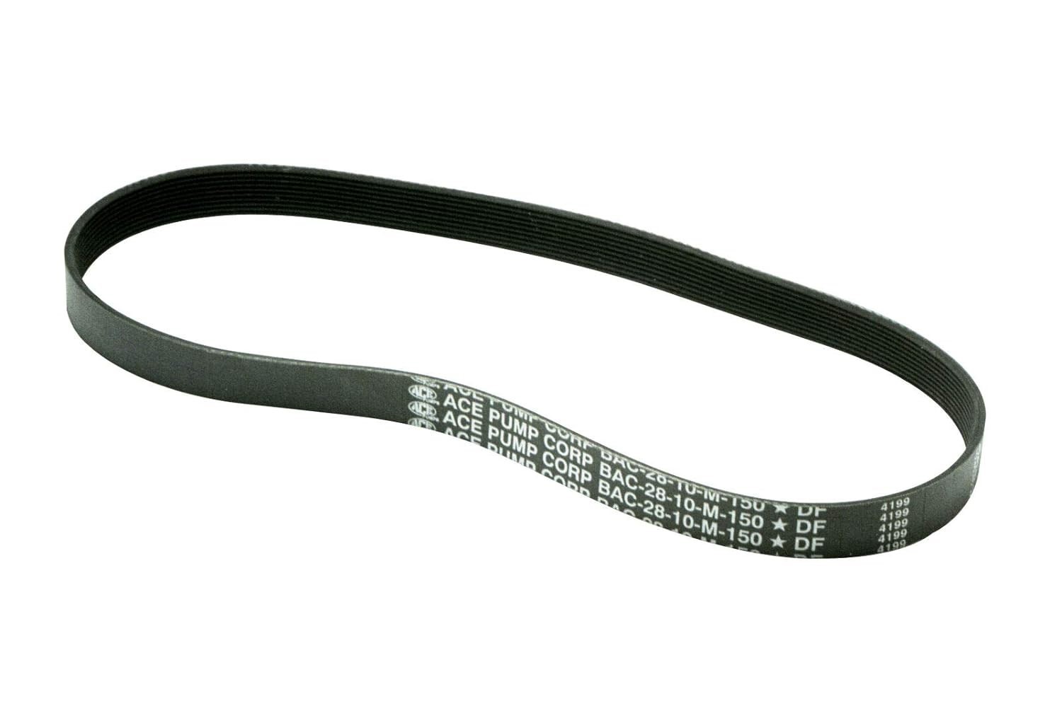 Ace Pump Poly Belt with 10 Grooves Fits PTOC-150-1000 Pump BAC-28-10M-150