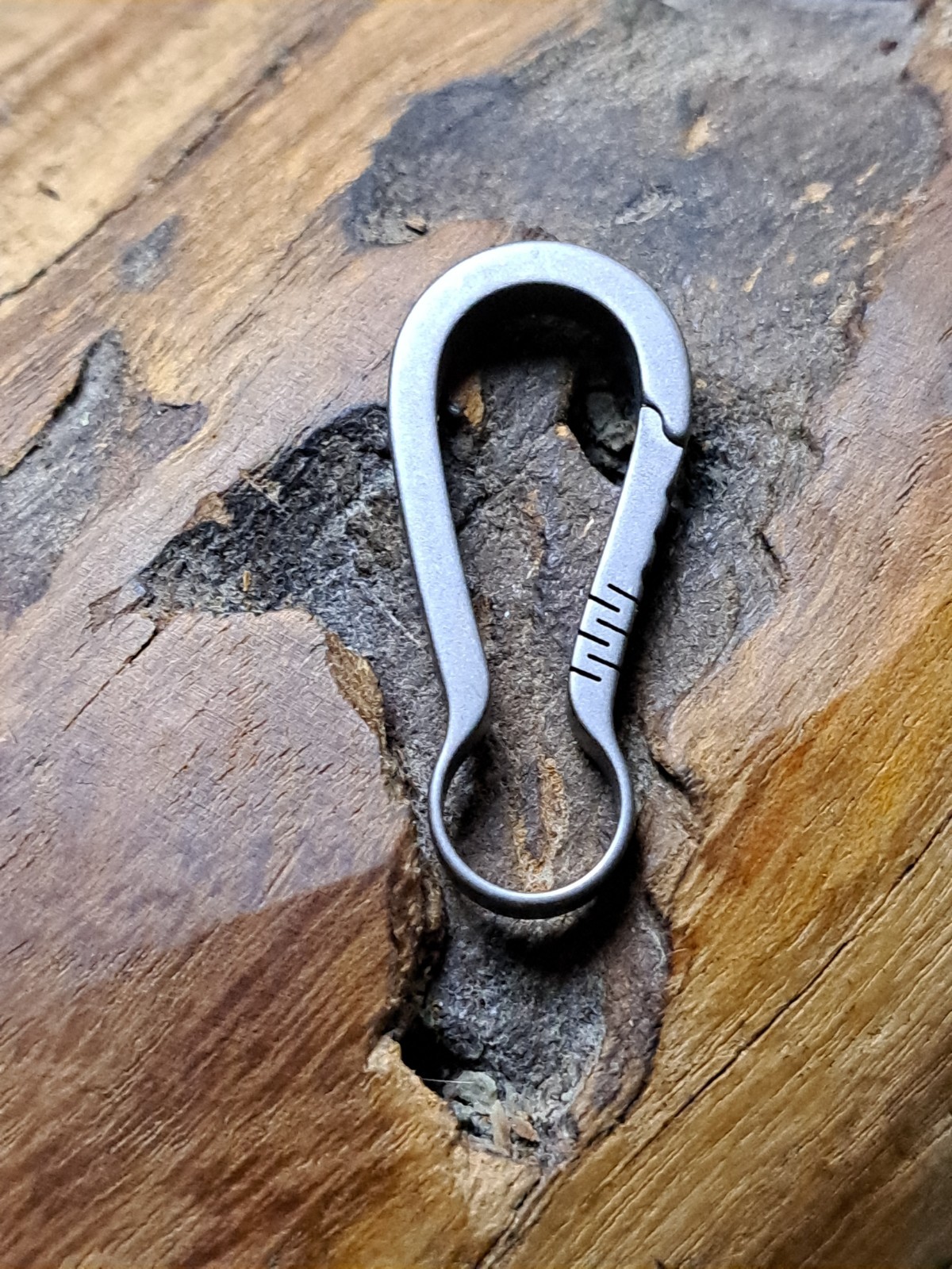 Pro Mini Series Titanium Carabiner
