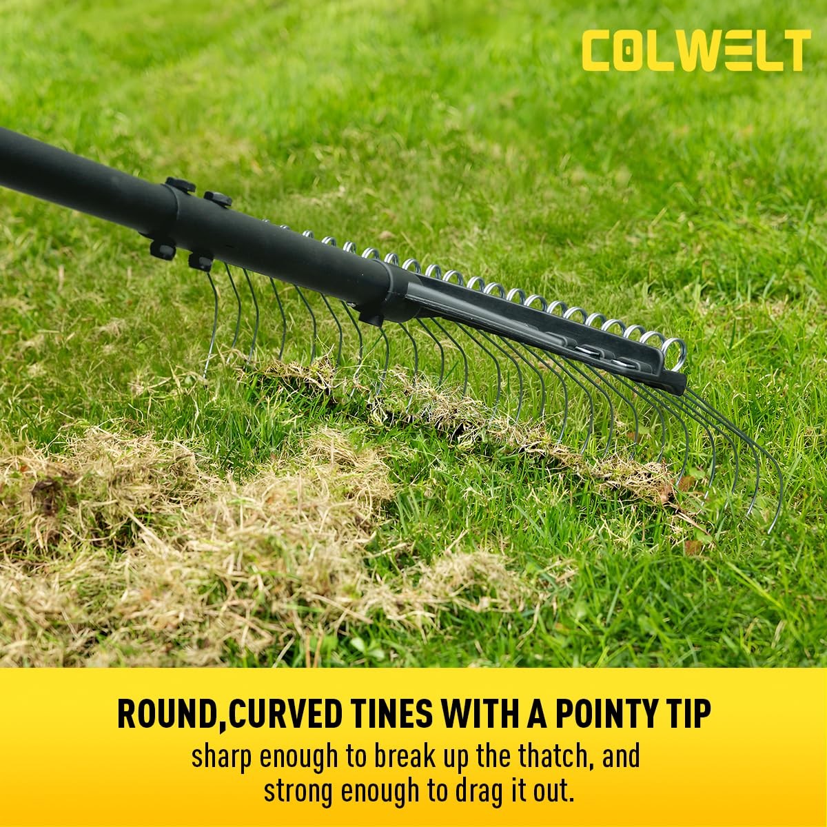 Best Colwelt Thatch Rake, Dethatcher Rake with Thin, Curved Spring Steel Tines