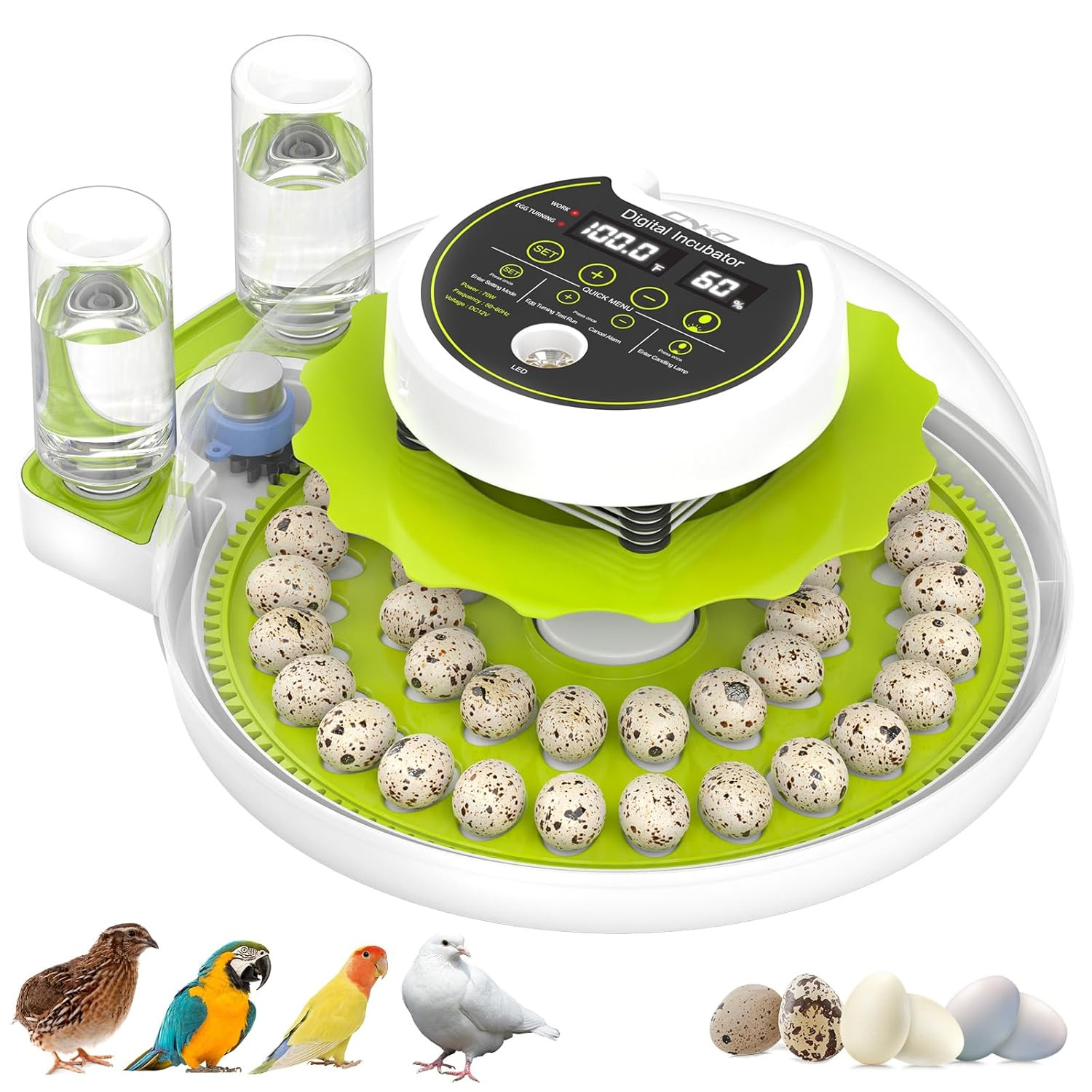 Automatic Quail Egg Incubator with Humidity Control - 40 Egg Capacity