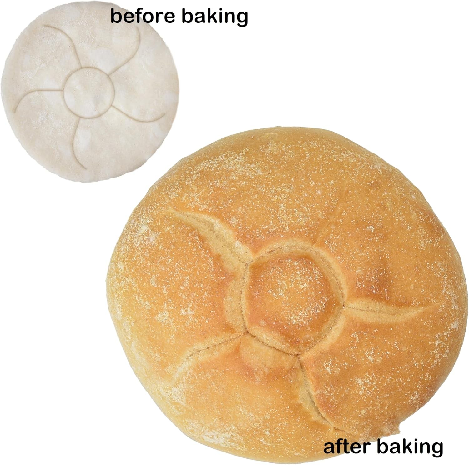 1491 Rosette Pattern Bread Stamp Stainless Steel