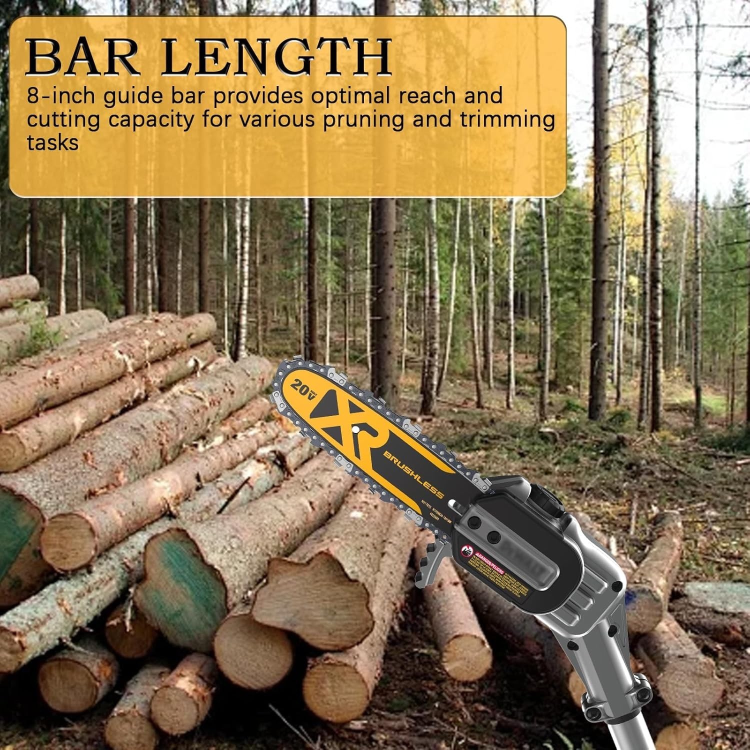 8-Inch Pole Saw Replacement Bar and Chain Combo, Guide Bar DWZCSB8, Compatible w