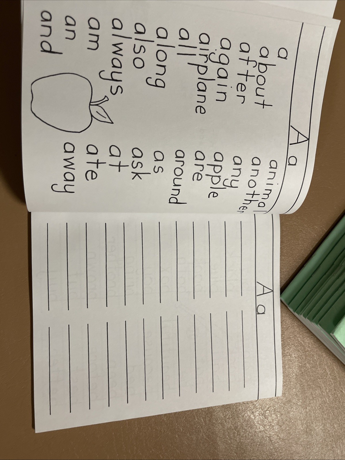Words I Use When I Write Grd 1-2 by Eps: New