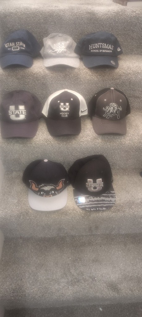 lot of 8 UTAH STATE UNIVERSITY hats USU adjustable  good variety