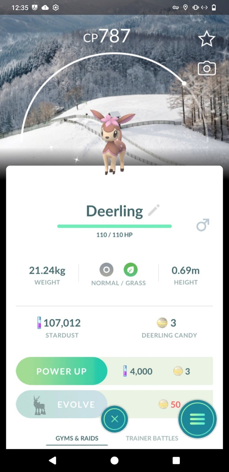 Shiny Deerling Pyeongchang Winter Festival background - Read description
