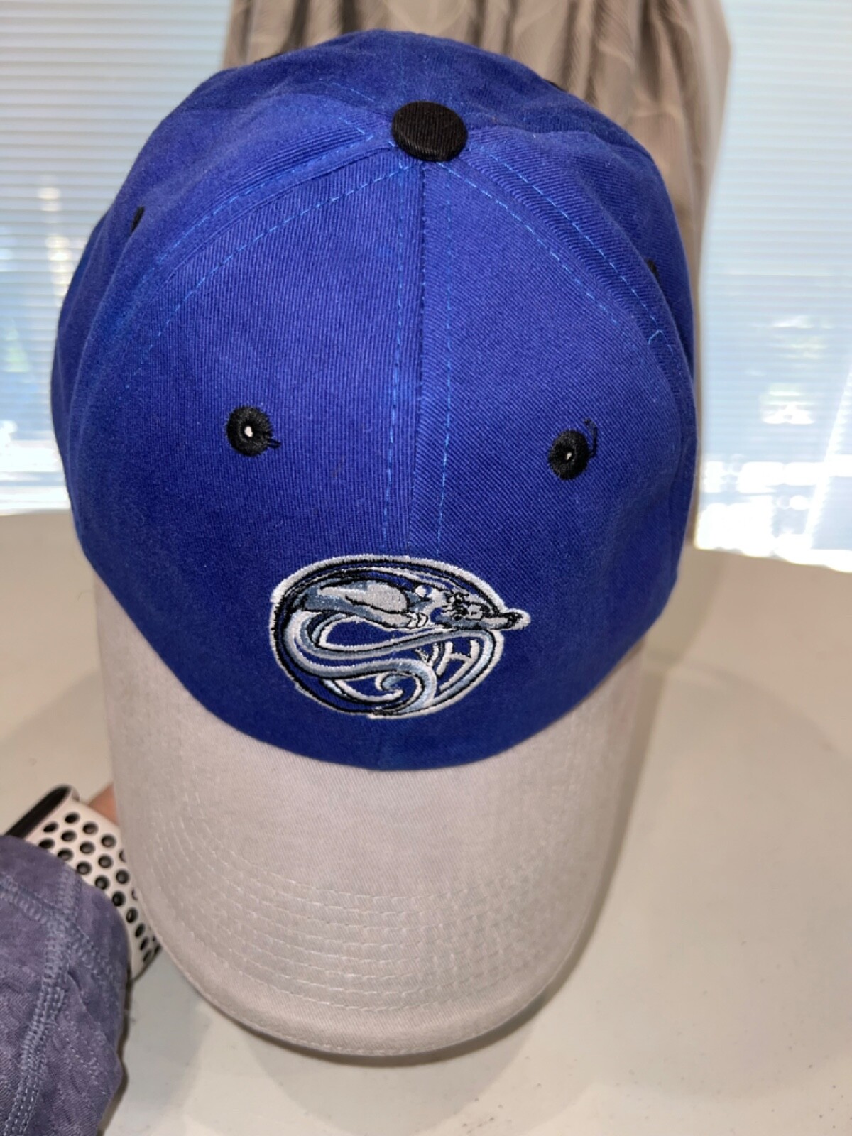 Cougars Royal Blue Gray W Black Gray Accents Cotton Hat Cap Hook Loop EUC