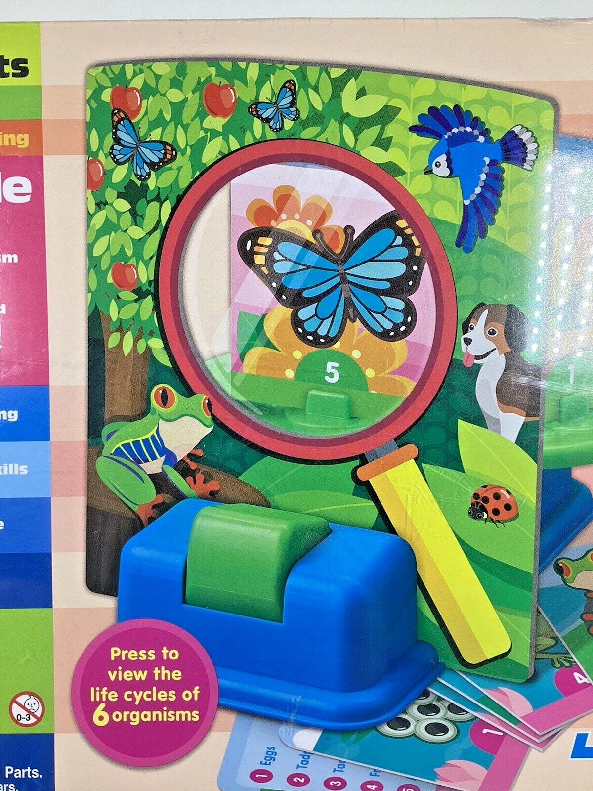 Thinking Kids Life Cycle Wheel STEM Learning Science Observation Educational