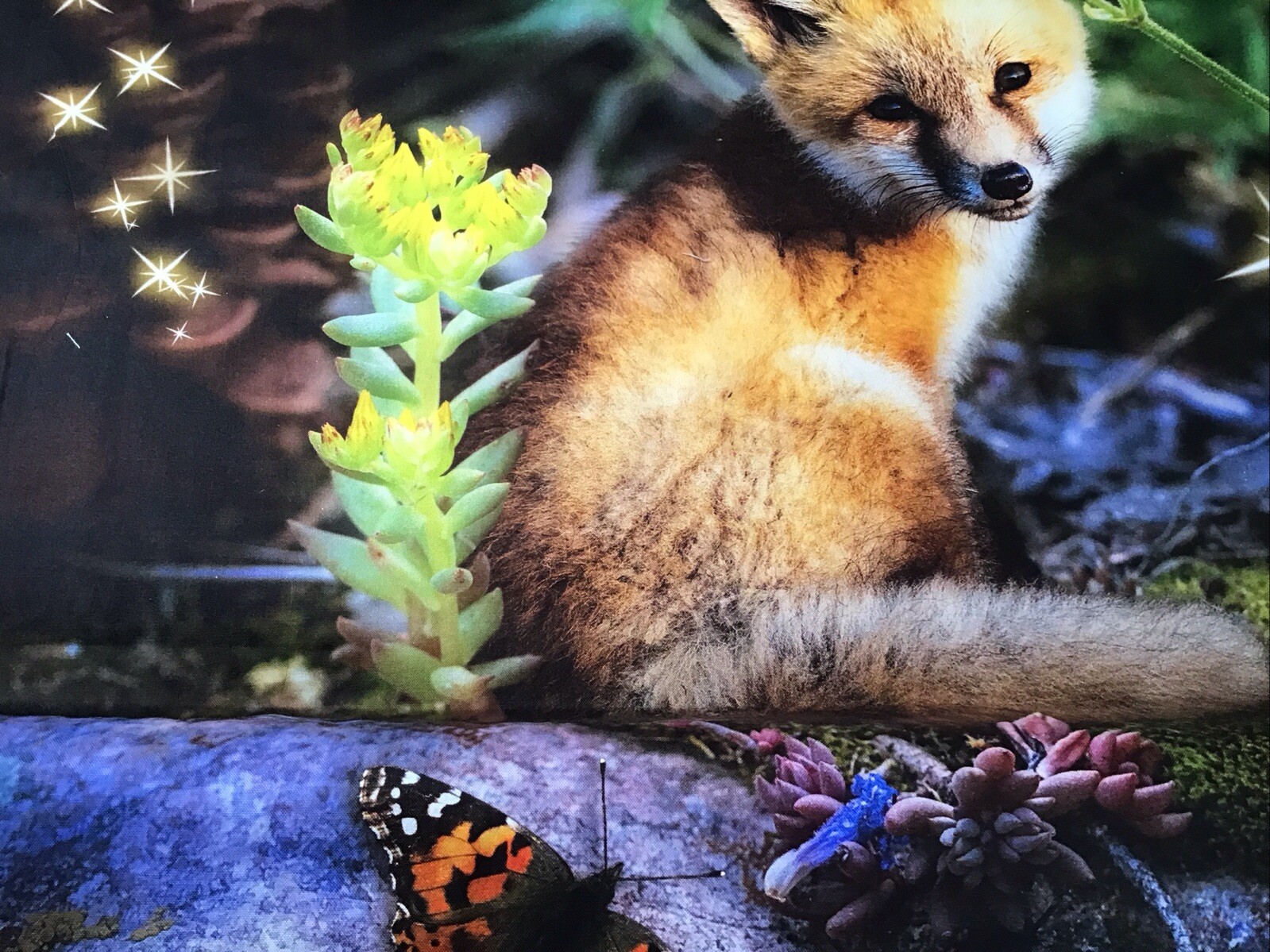 Fabric Hoffman Forest Fox & Butterfly Panel 4483, sold by the panel