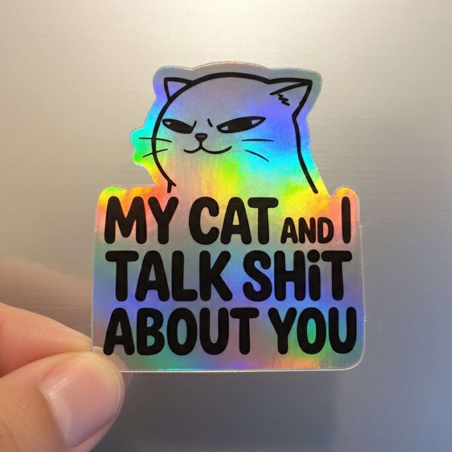 Funny Cat Holographic Sticker 3x3 - My Cat and I Talk Stuff About You Vinyl