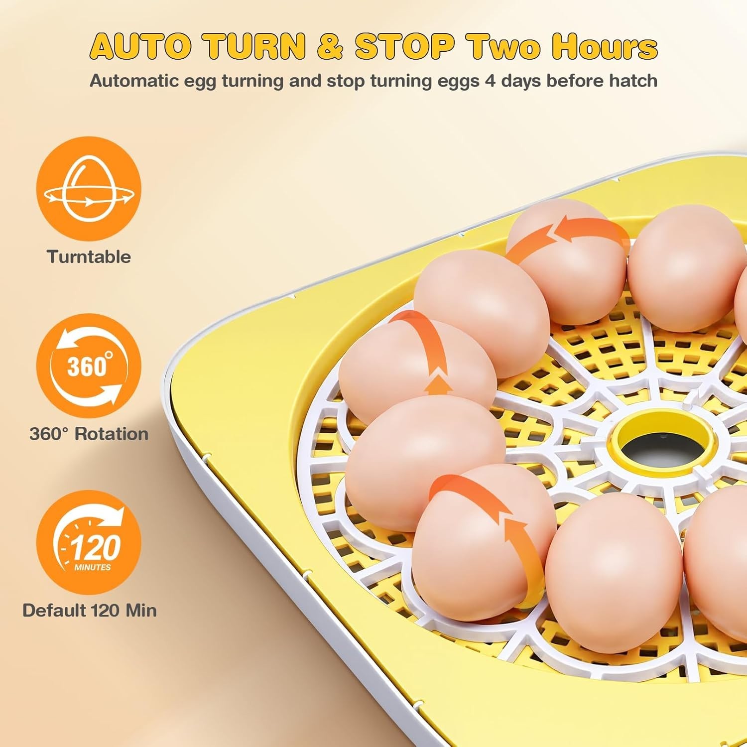 12 Egg Incubator with Automatic Water Refill for Hatching Eggs Auto Egg Turning~