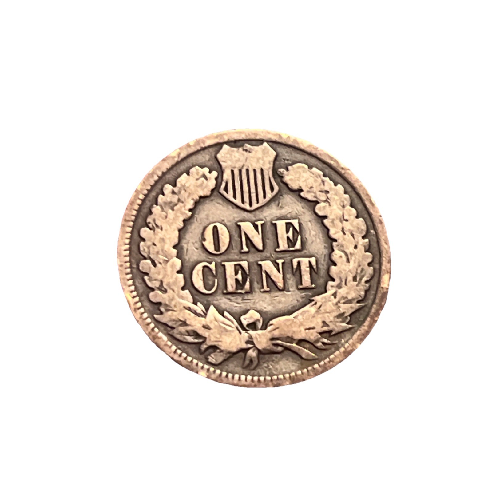 1902 indian head cent BN07
