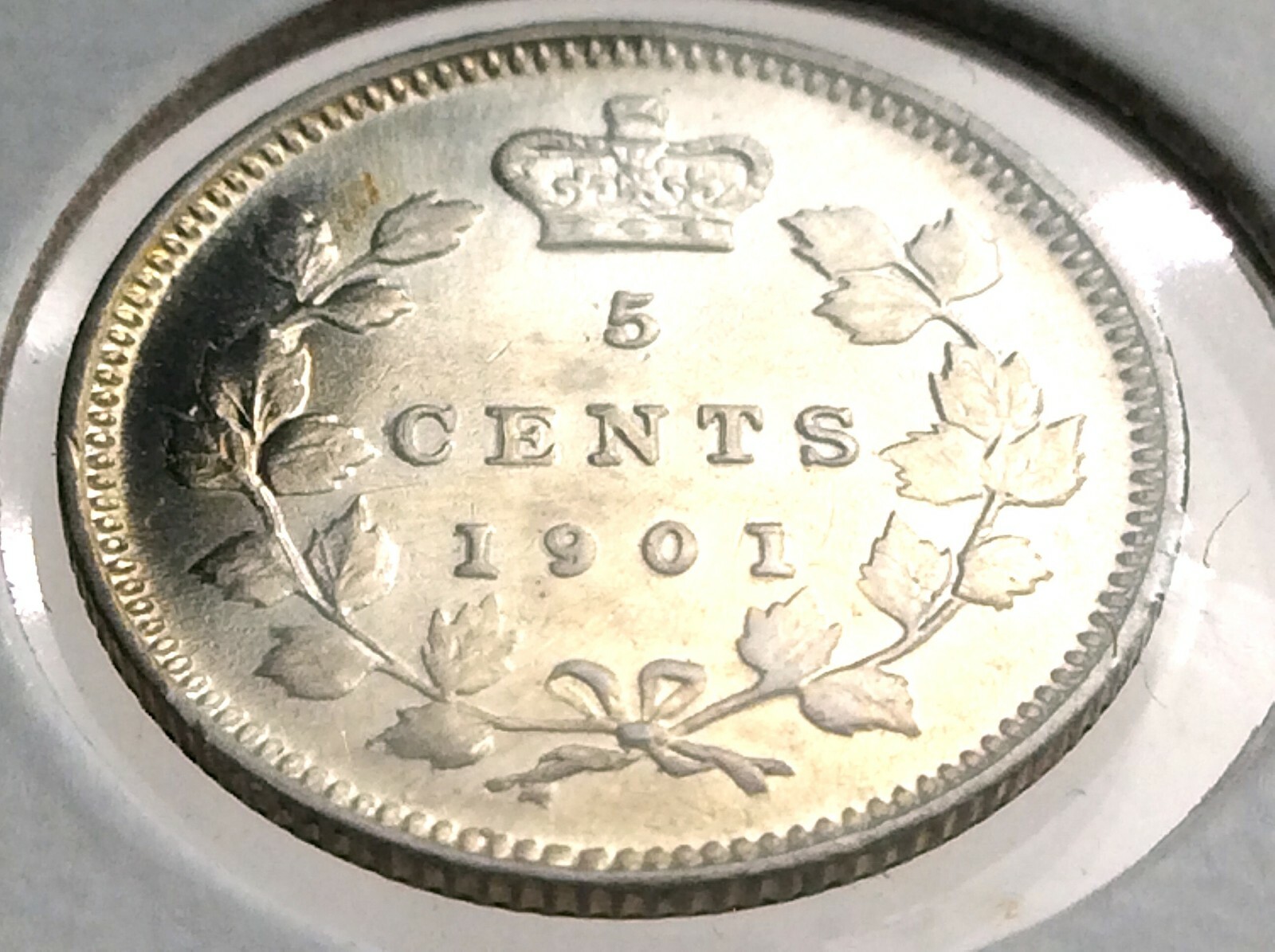 1901 Canada Five 5 Cent Small Canadian Victoria Whizzed Coin L040