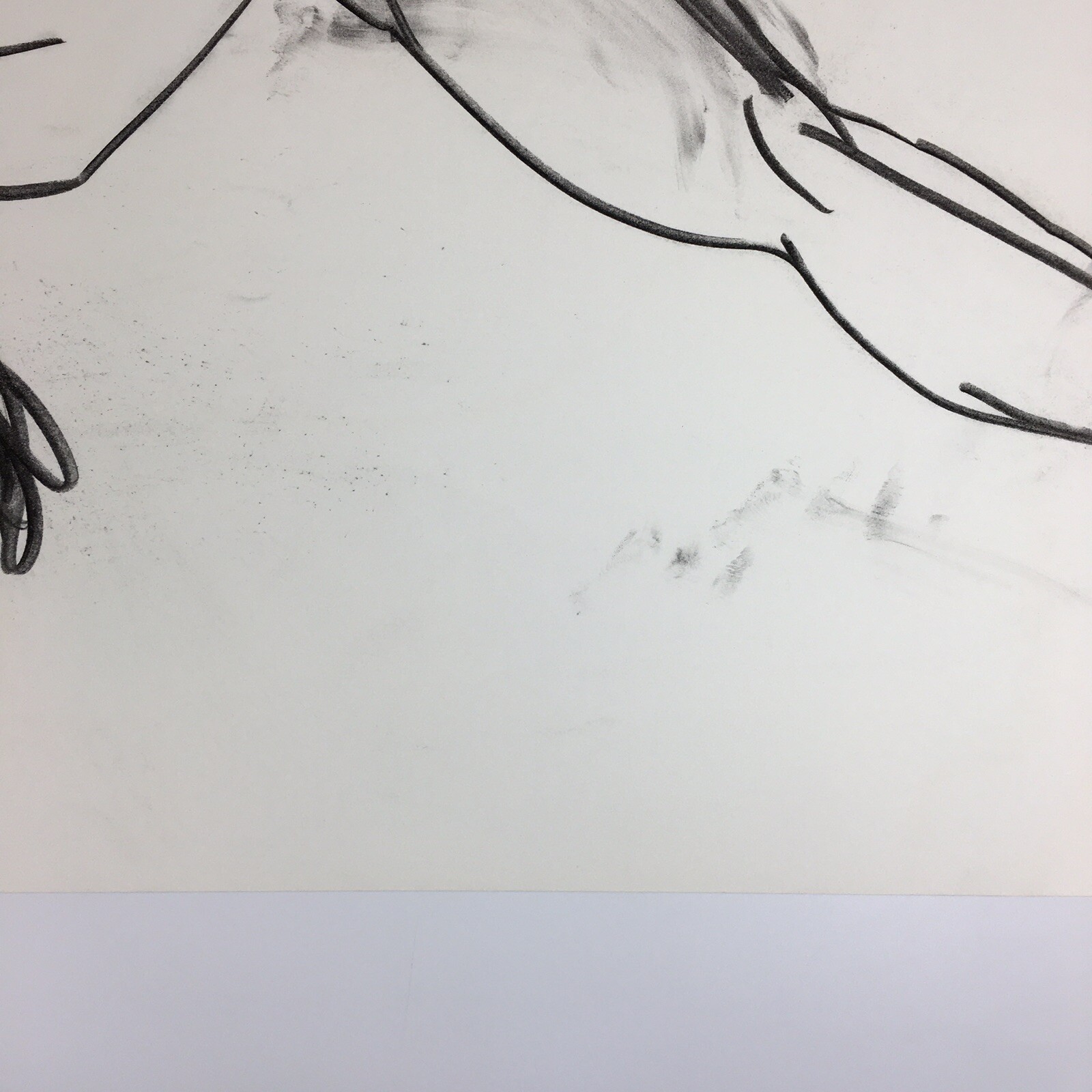 Kip Gresham Unsigned Original Charcoal Drawing Gymnast Curwen Archive #13