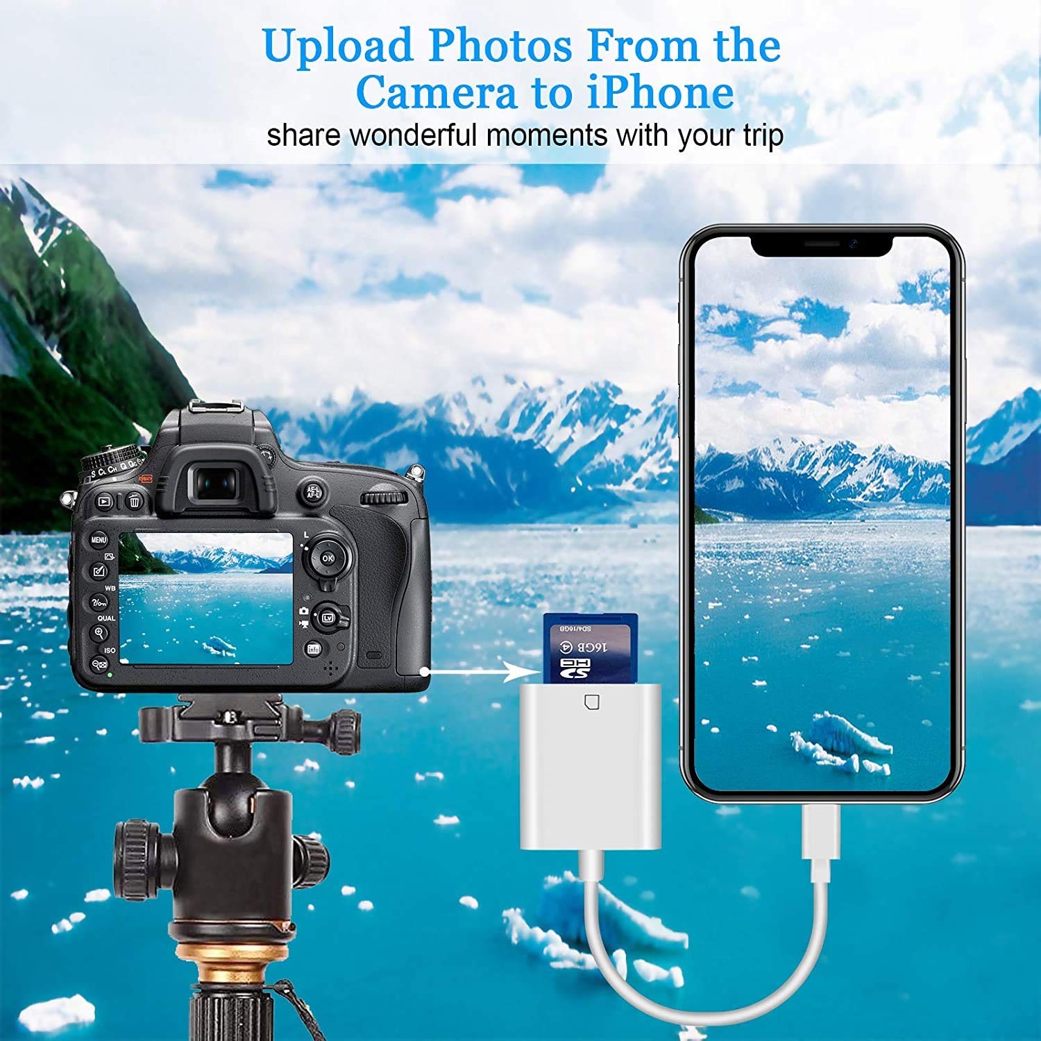 Apple MFi Certified Lightning to SD Card Camera Reader for iPhone iPad, F